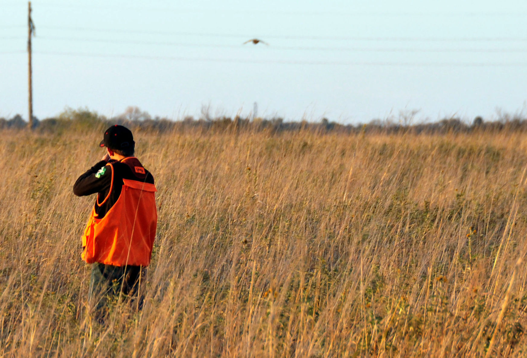 Shutdown Pheasant Hunting